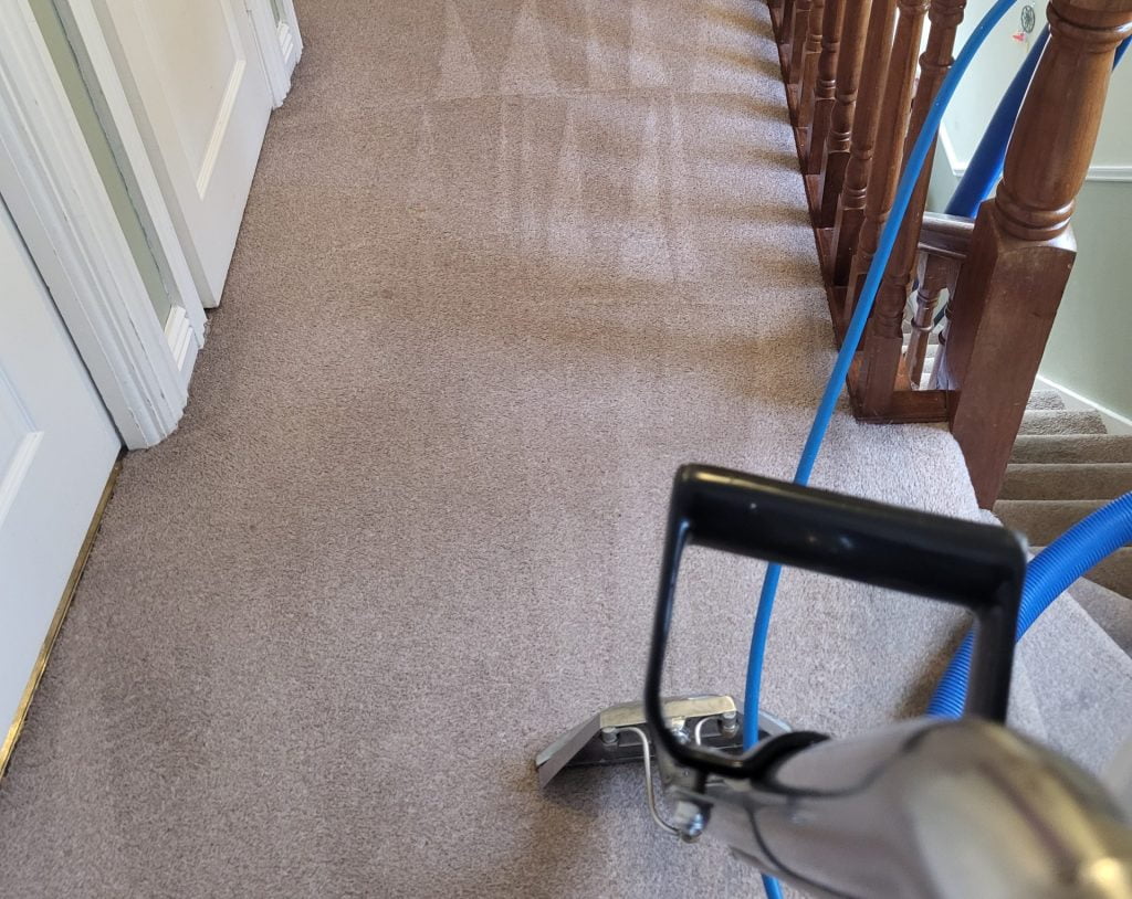 Professional Carpet Cleaning Services