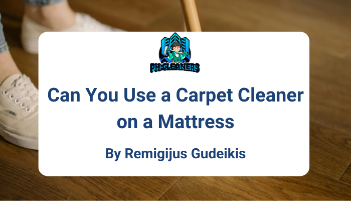 Carpet Cleaner on a Mattress