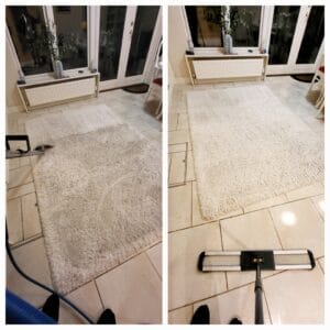 Rug cleaning