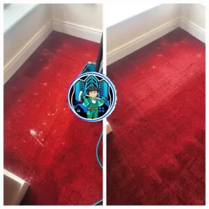 carpet cleaning Dublin 12