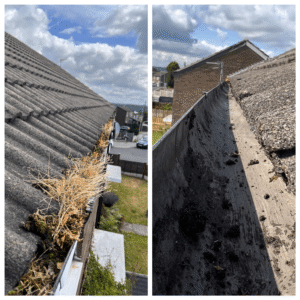 Gutter Cleaning in Navan