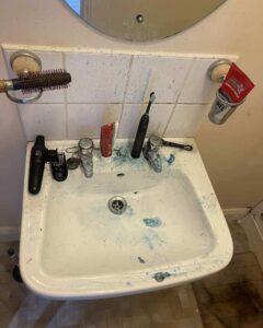 toilet cleaning hack