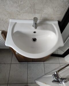 Toilet Cleaning