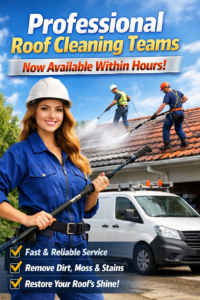 Professional roof cleaning services available 